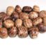 Highly polished Aragonite tumble stone size 2-3 cm.
