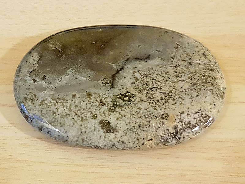 Jasper Ocean Palm Stone