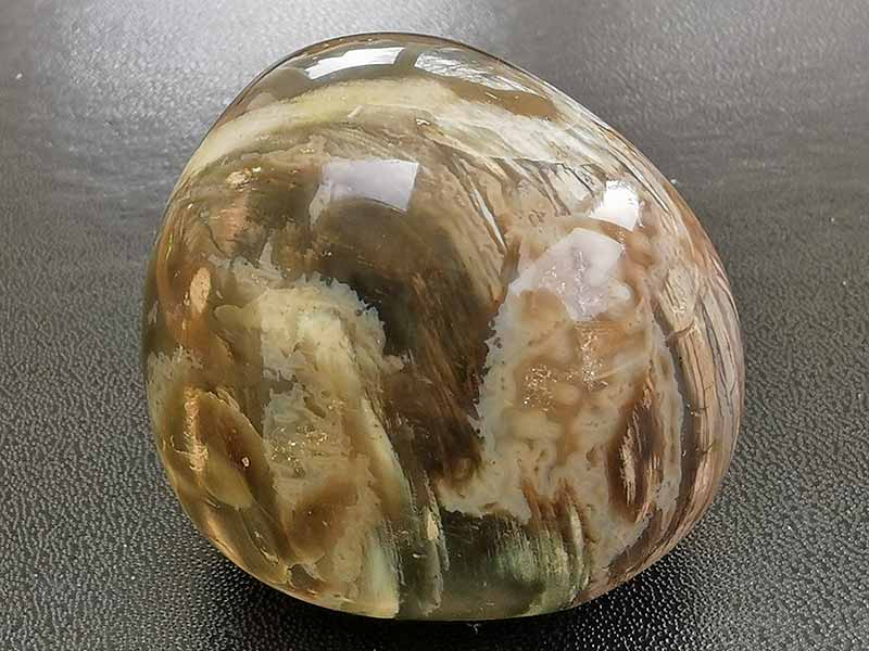 Fossil Wood