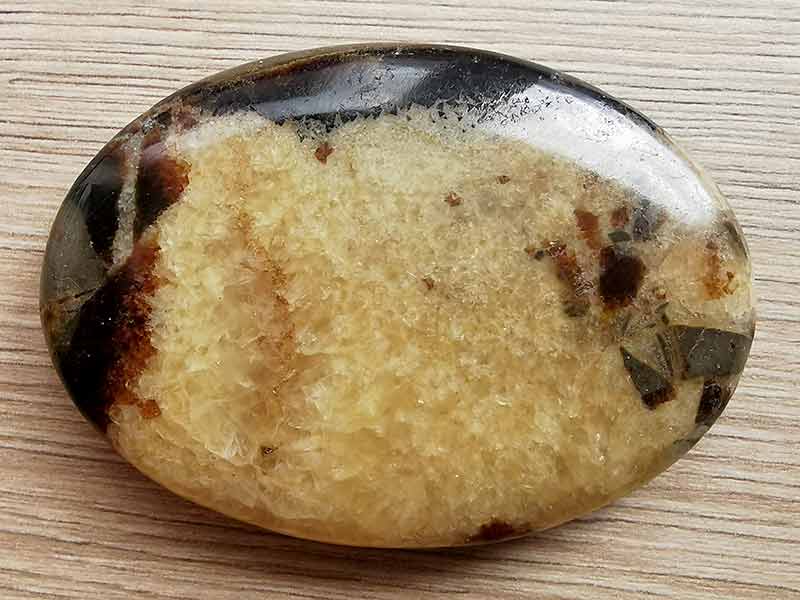 Septarian Palm Stone